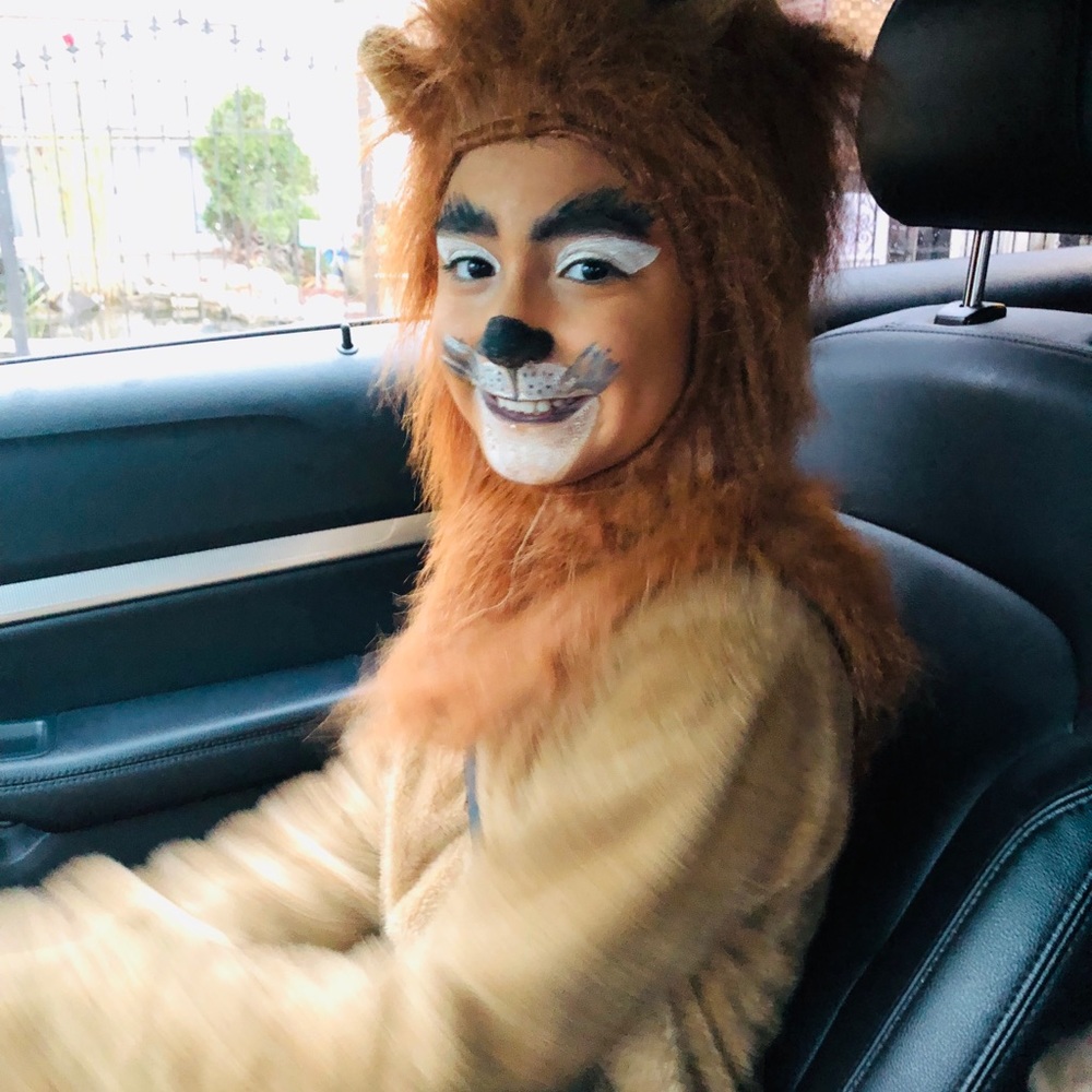 Girls Lion Costume Large